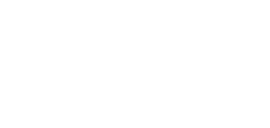 ACCOMPANY WITH WORDS